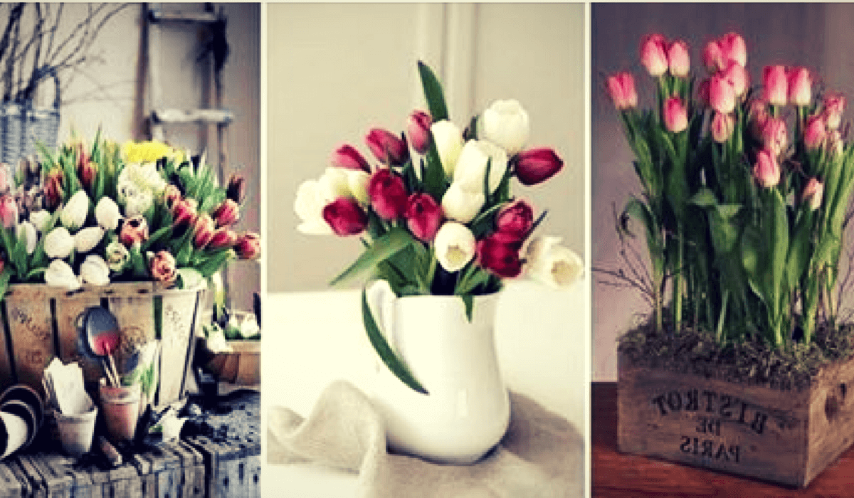 Nos encantan los arreglos florales con tulipanes… ¿Qué te parecen las propuestas que aquí te mostramos?